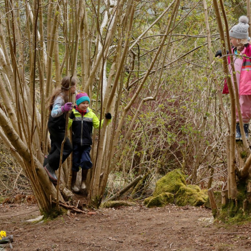 Outdoor learning at Castleton (59)