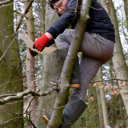 Outdoor learning at Castleton (45)