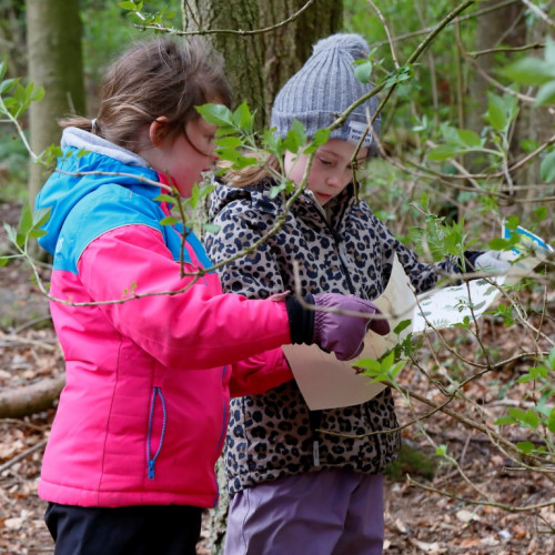 Outdoor learning at Castleton (46)